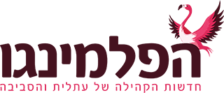לוגו הפלמינגו